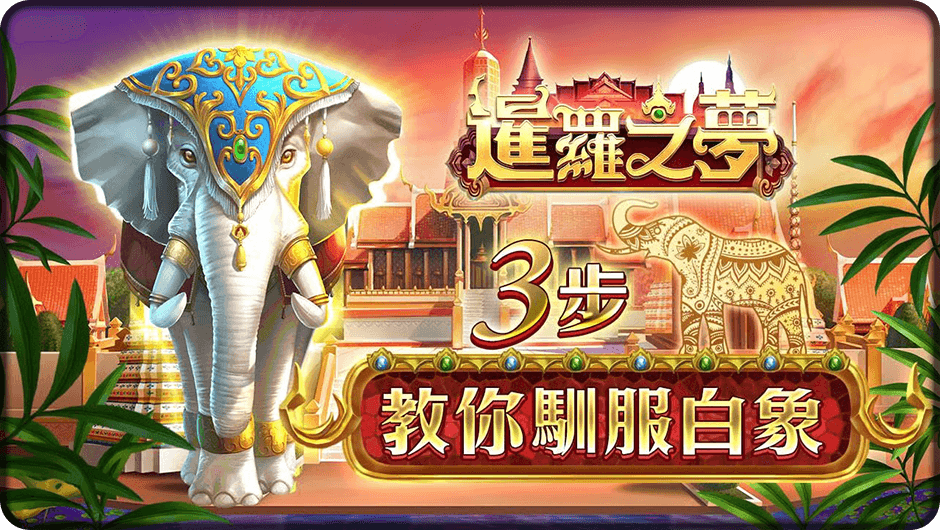 3步教你馴服白象-暹羅之夢