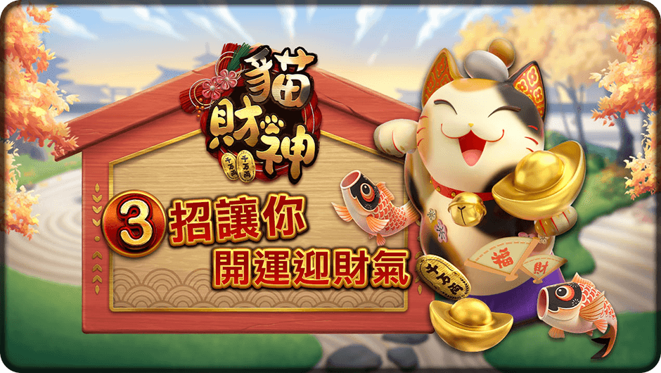 3大技巧提升財運- 貓財神